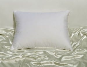 travel pillow, small pillow, down pillow